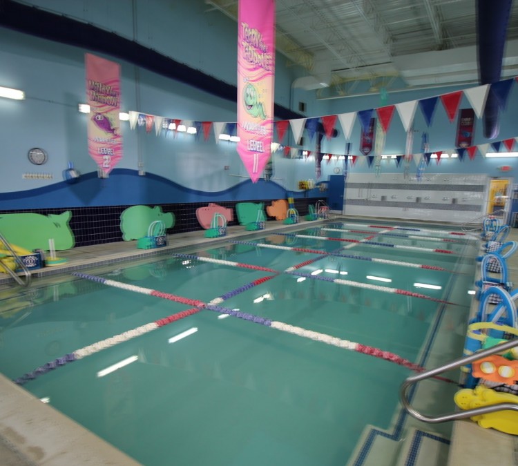 aqua-tots-swim-schools-troy-photo